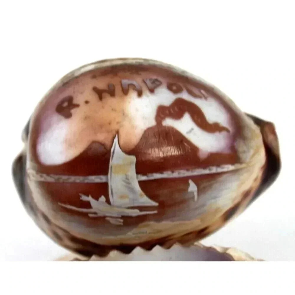 Vintage RARE 3 Level Sea Shell R. Napoli Ashtray - Picture 4 of 5